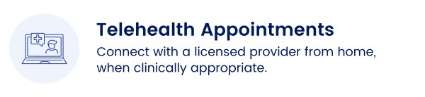 Telehealth Appointments